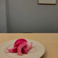 画像339