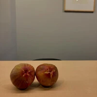 画像347